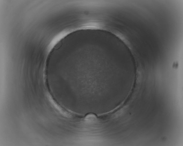 X0000113271469200909171702