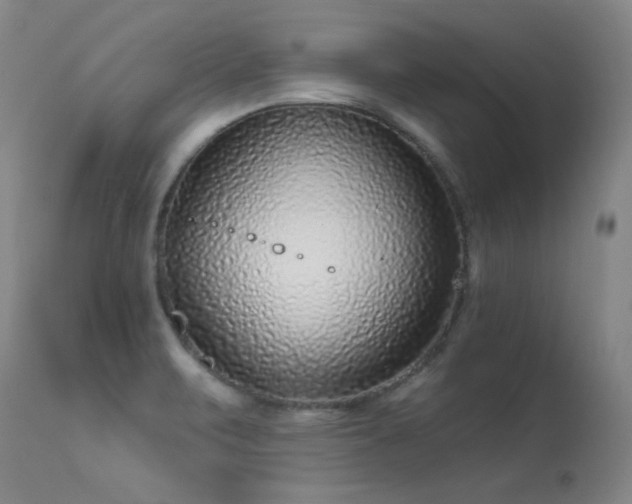 X0000113271471200909171702