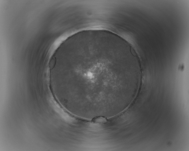 X0000113271472200909171702