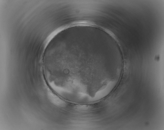 X0000113271474200909171702
