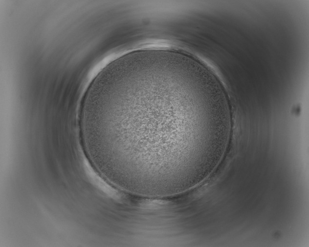 X0000113271475200909171702