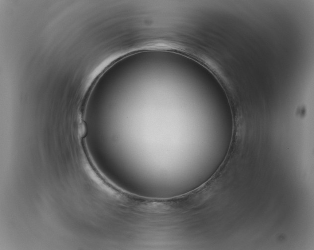 X0000113271476200909171702