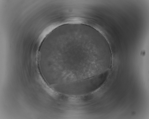 X0000113271477200909171702