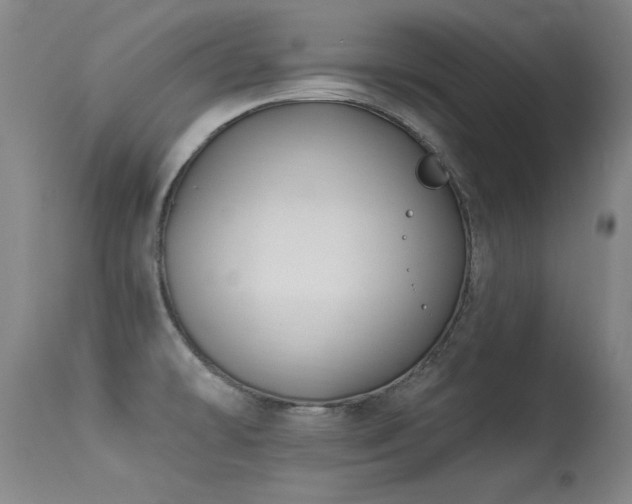 X0000113271478200909171702