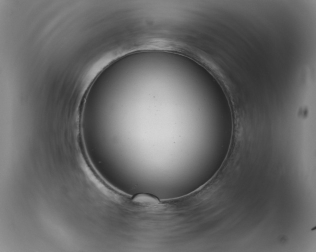 X0000113271479200909171702