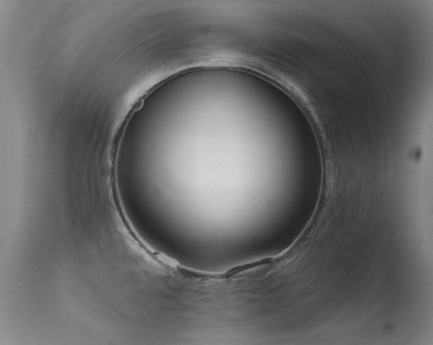 X0000113271480200909171702