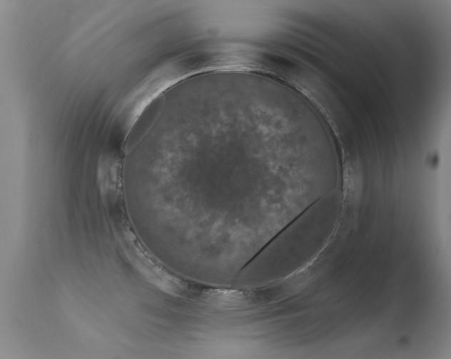 X0000113271481200909171702