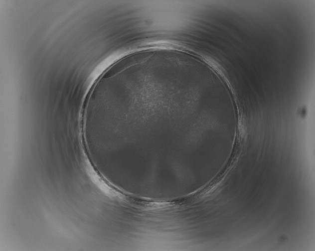 X0000113271482200909171702