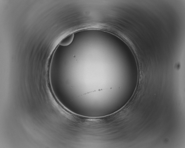 X0000113271483200909171701