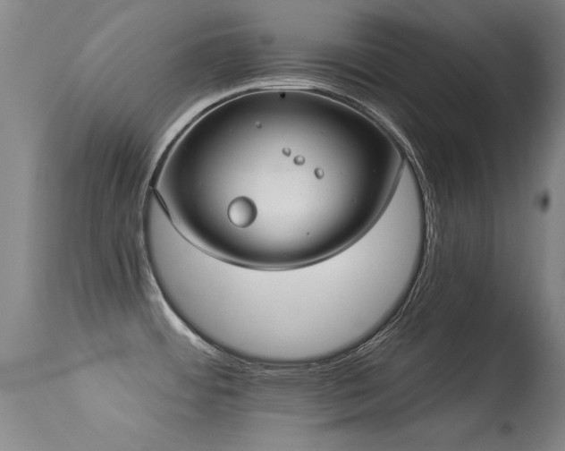 X0000113271484200909171701