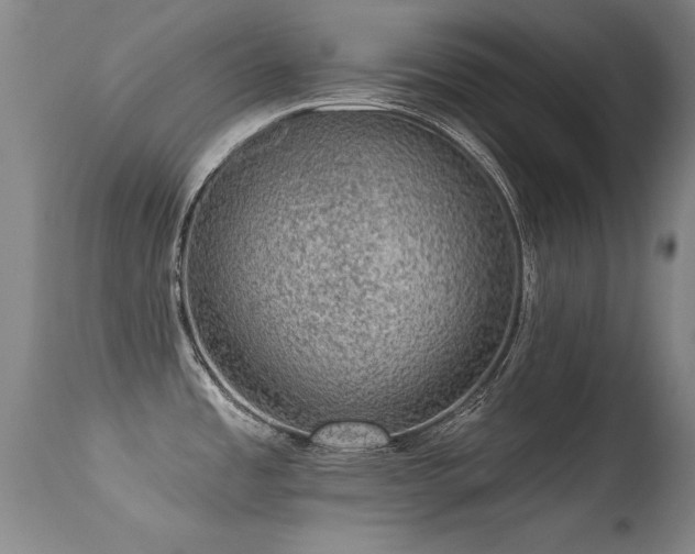 X0000113271485200909171701