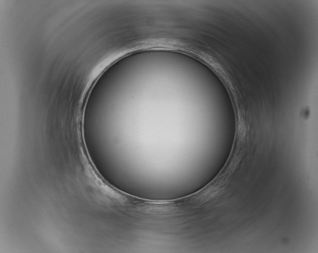X0000113271486200909171701