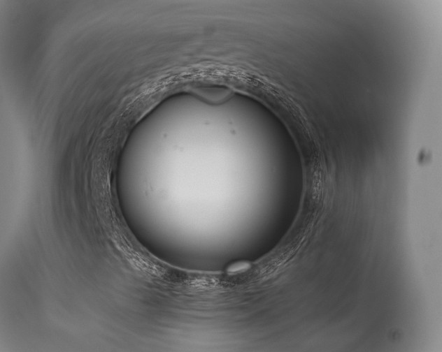 X0000113271489200909171701