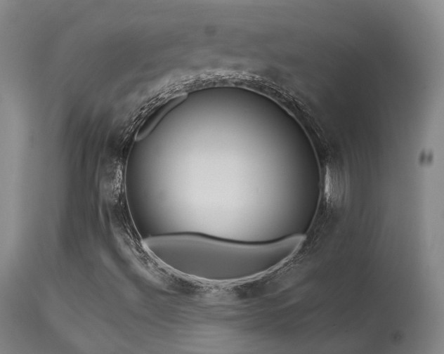 X0000113271492200909171701