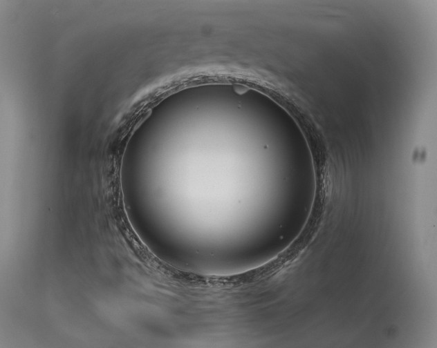 X0000113271494200909171701