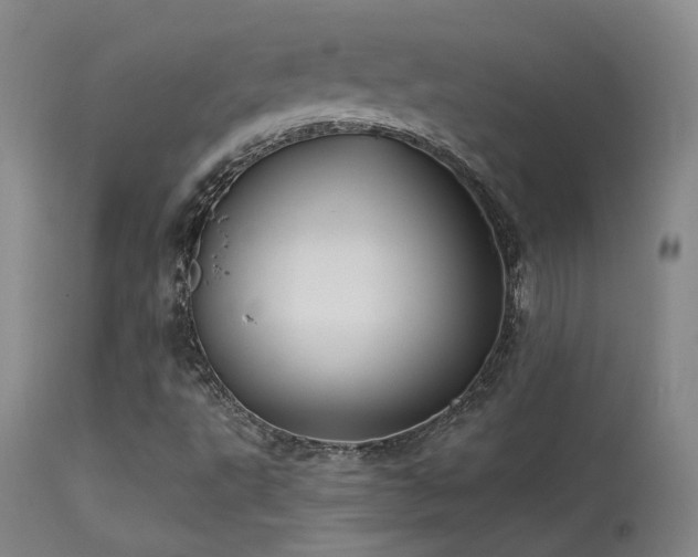 X0000113271495200909171701