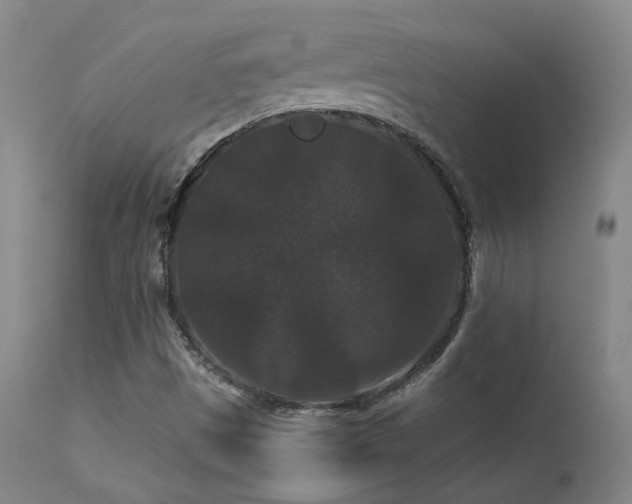X0000113271497200909171701