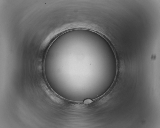 X0000113271499200909171701