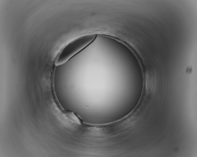X0000113271500200909171701