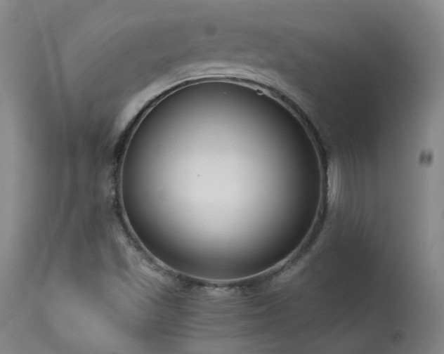 X0000113271501200909171701