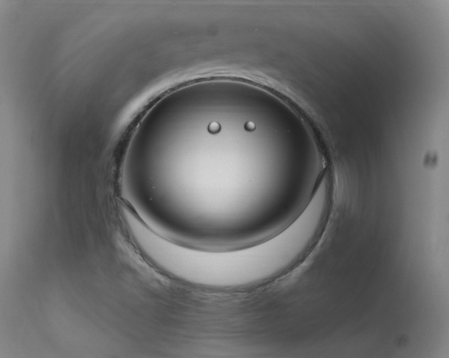 X0000113271502200909171701
