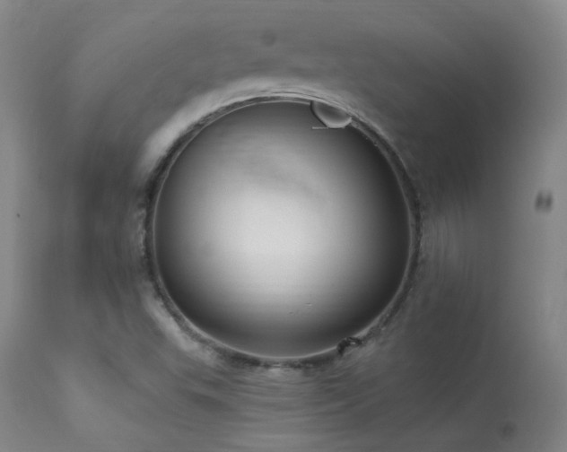 X0000113271503200909171701