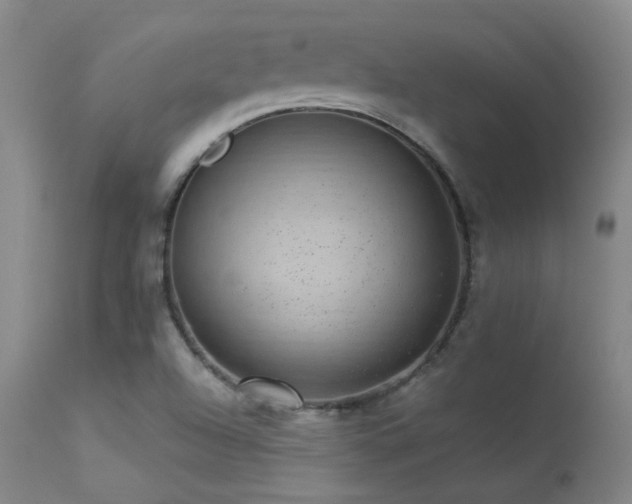 X0000113271504200909171701
