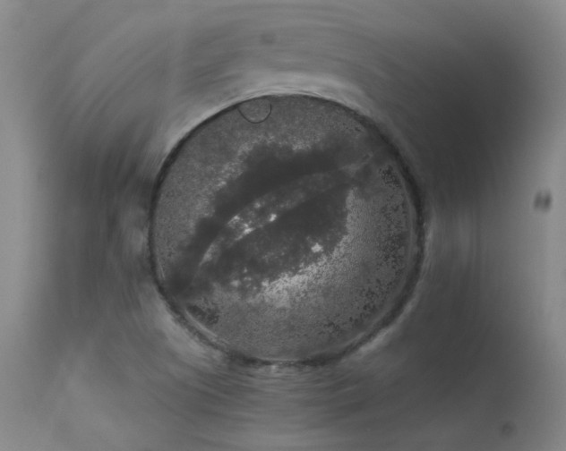 X0000113271505200909171701