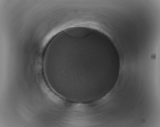 X0000113271506200909171701