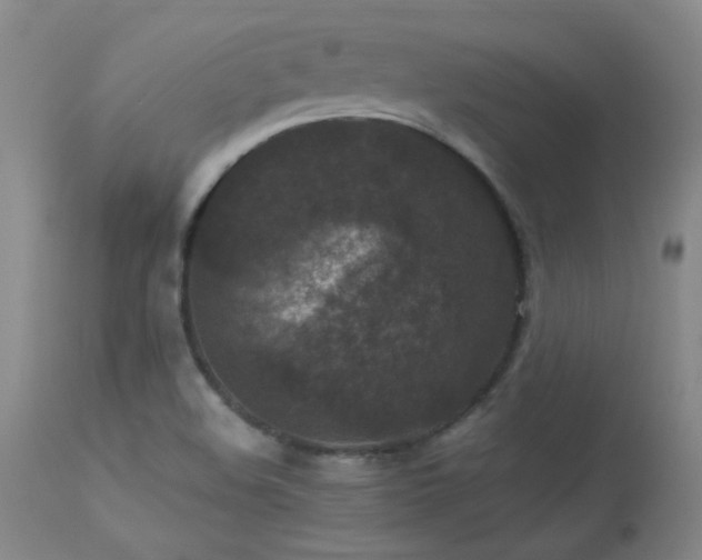 X0000113271508200909171701