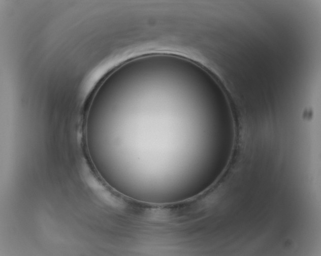 X0000113271511200909171701