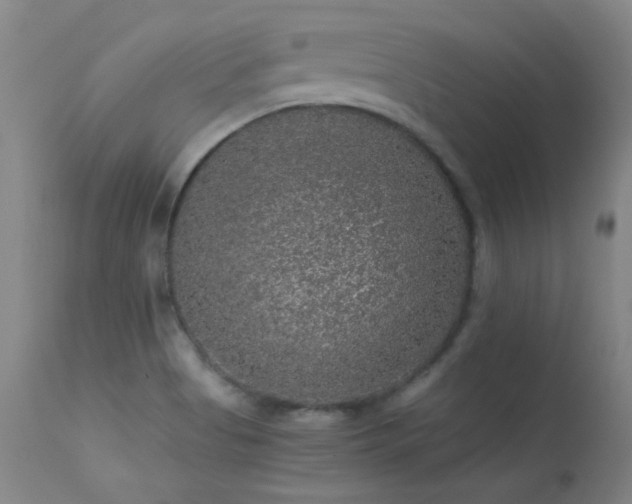 X0000113271513200909171701