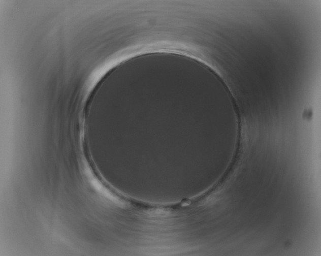 X0000113271515200909171701