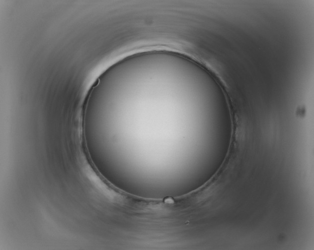 X0000113271516200909171701