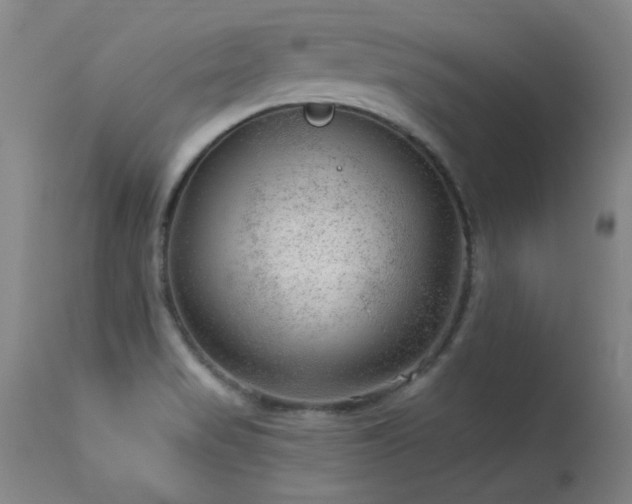 X0000113271517200909171701
