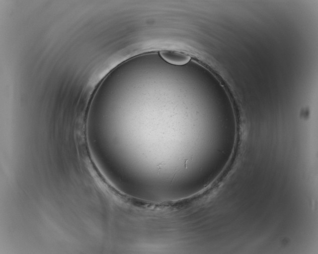 X0000113271521200909171701
