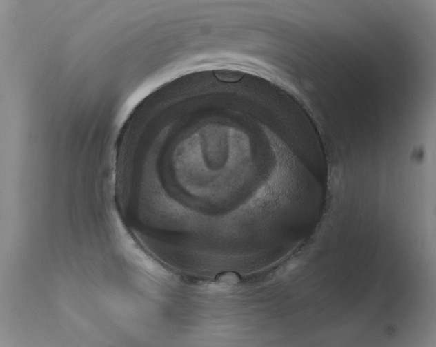 X0000113271522200909171701