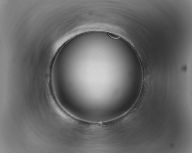 X0000113271523200909171701