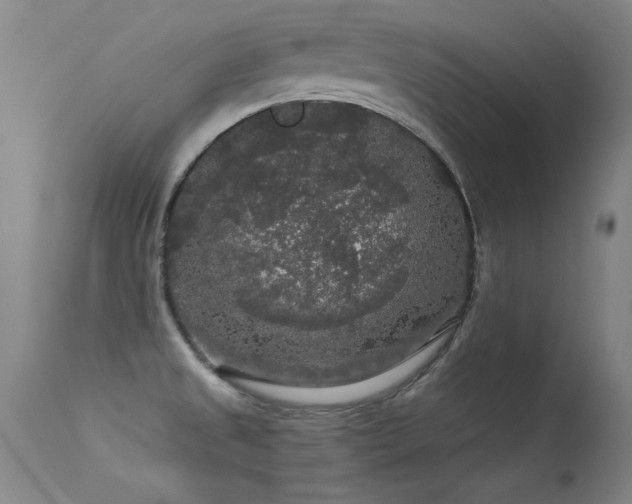 X0000113271525200909171701