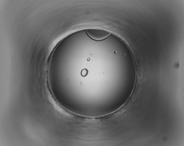 X0000113271526200909171701