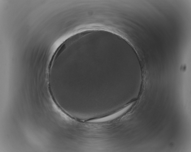X0000113271527200909171701
