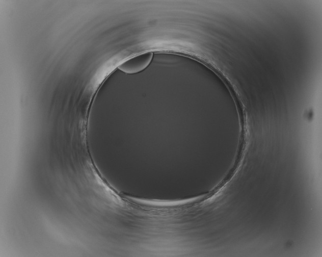 X0000113271529200909171701