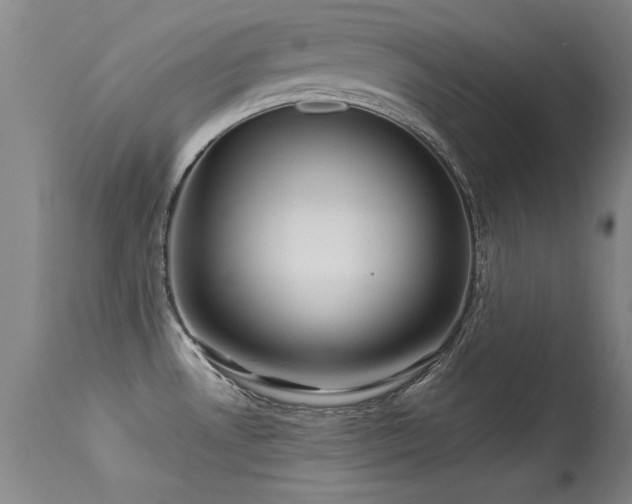 X0000113271530200909171701