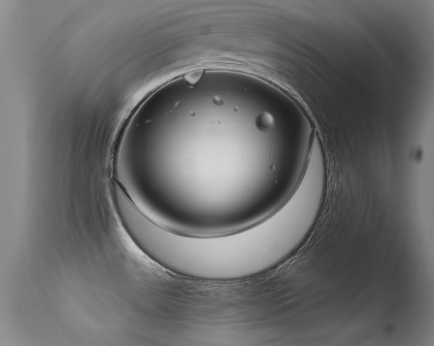 X0000113271531200909171701