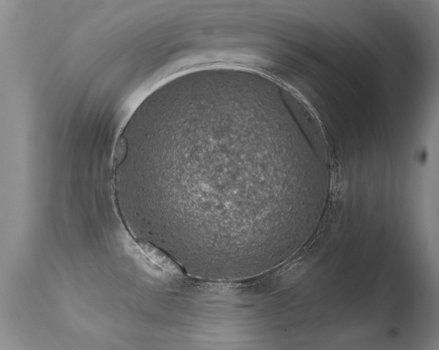 X0000113271532200909171701