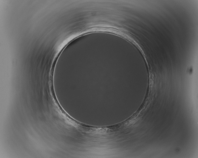 X0000113271533200909171701