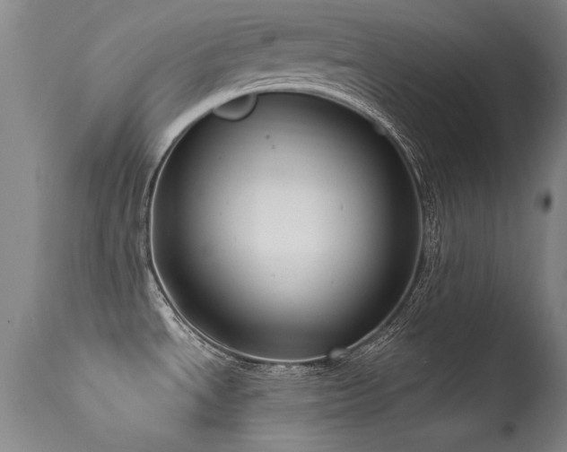 X0000113271534200909171701