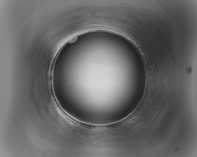 X0000113271535200909171701