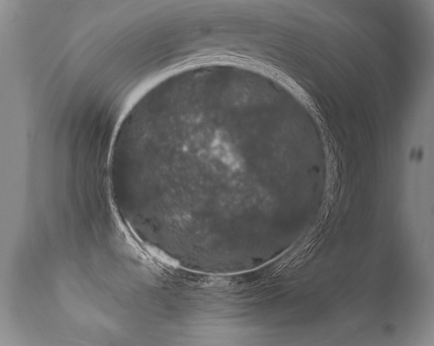 X0000113271536200909171701