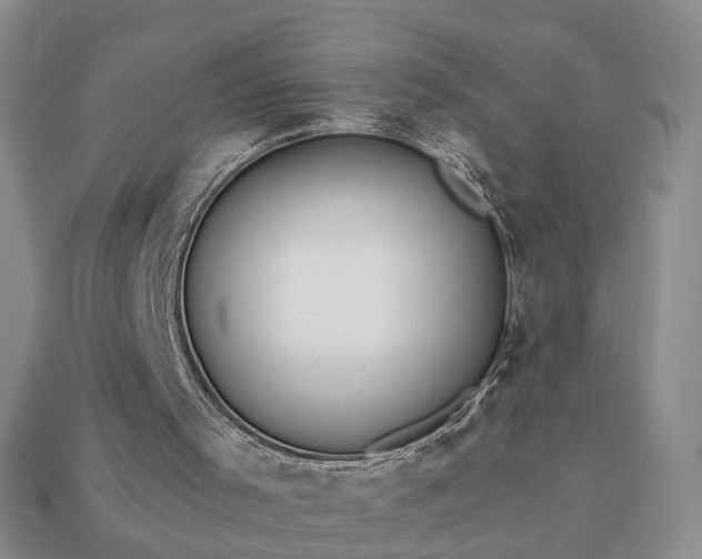 X0000113270001200909241552